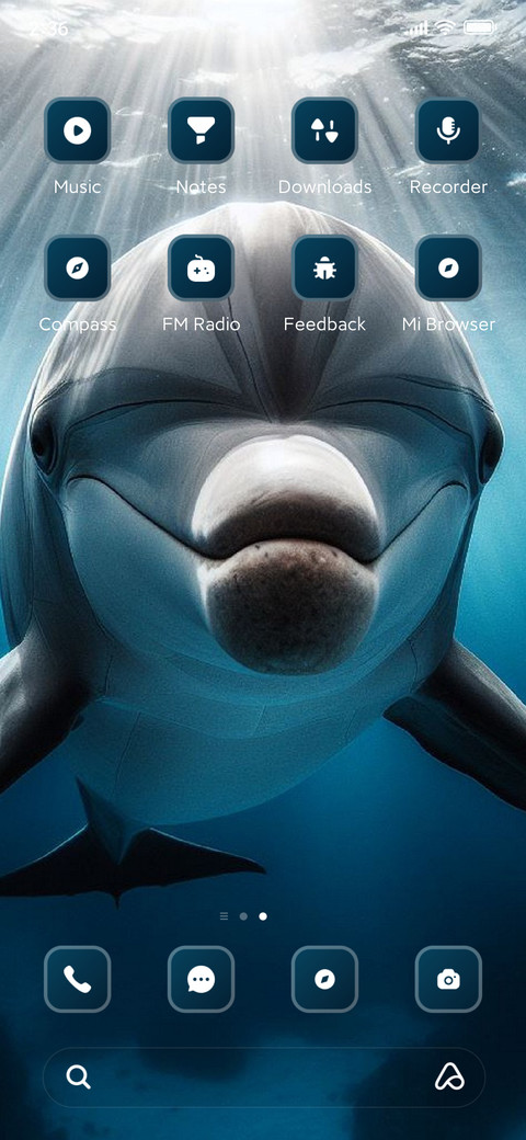 Dolphin screenshot