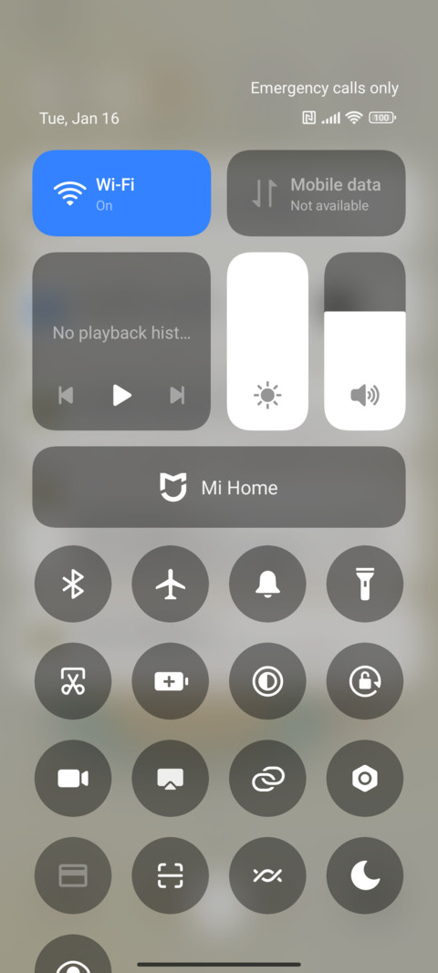 Cat Food Play screenshot