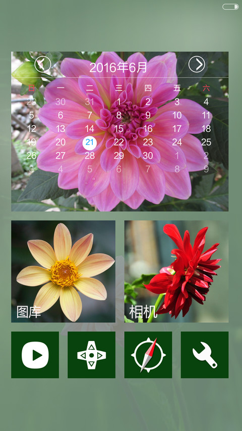 夏天大丽鲜花开【下雨特效+自由桌面】 screenshot