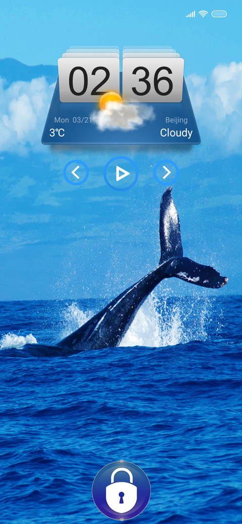 Whale tri screenshot