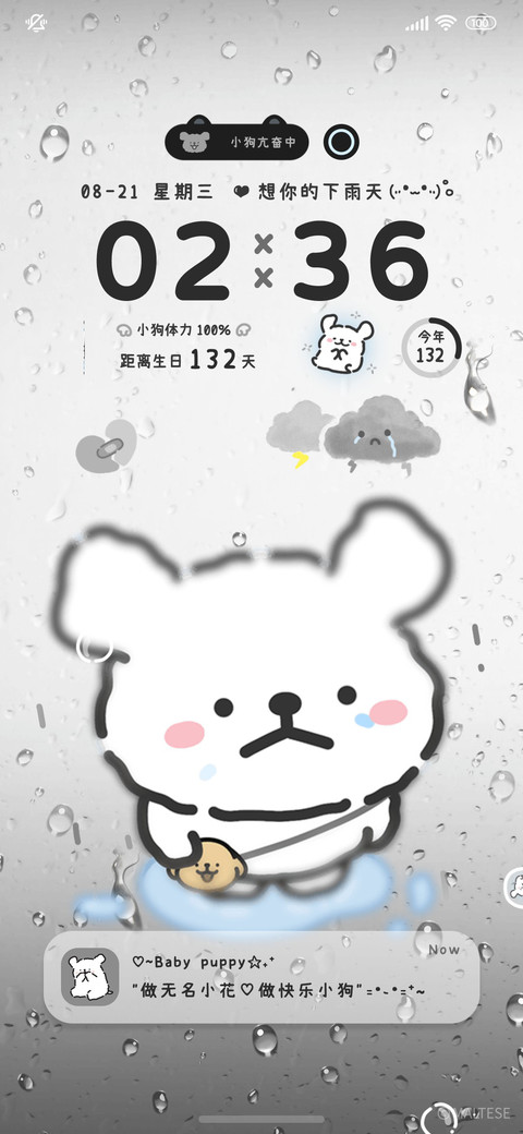 线条小狗想你的雨天 screenshot
