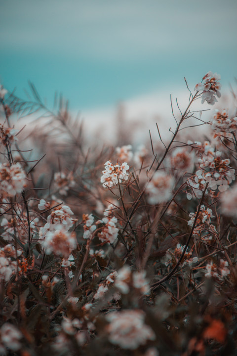 Motion Blur screenshot