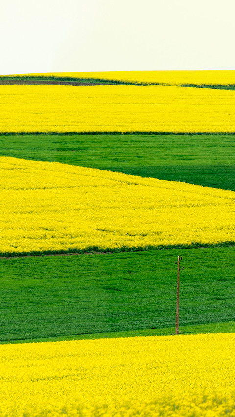 Wide fields screenshot