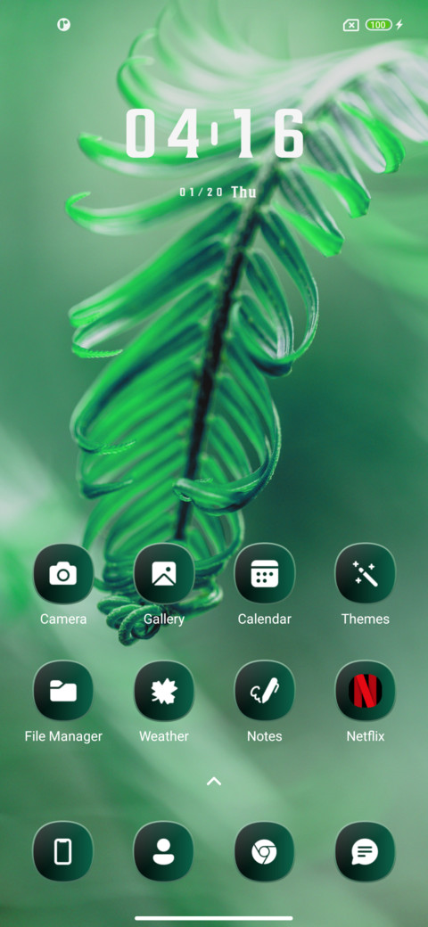 Jungle Feel screenshot