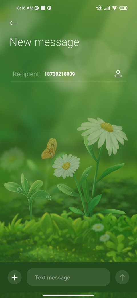 Daisy+flower screenshot
