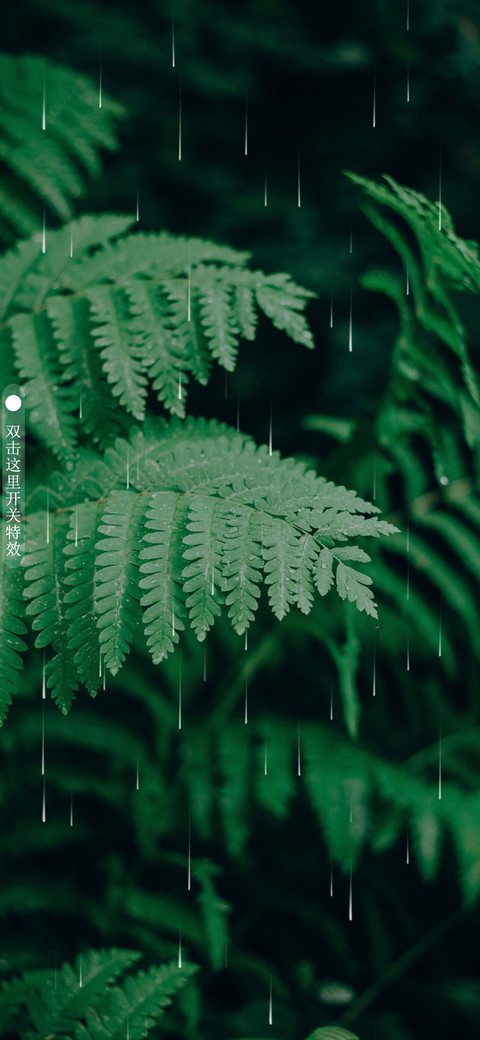 夏末 screenshot