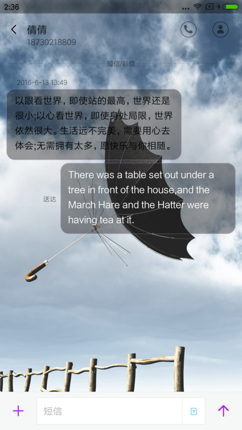 风 screenshot