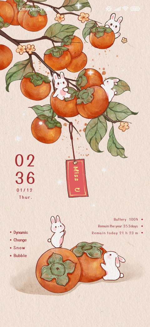 Persimmon Ruyi screenshot