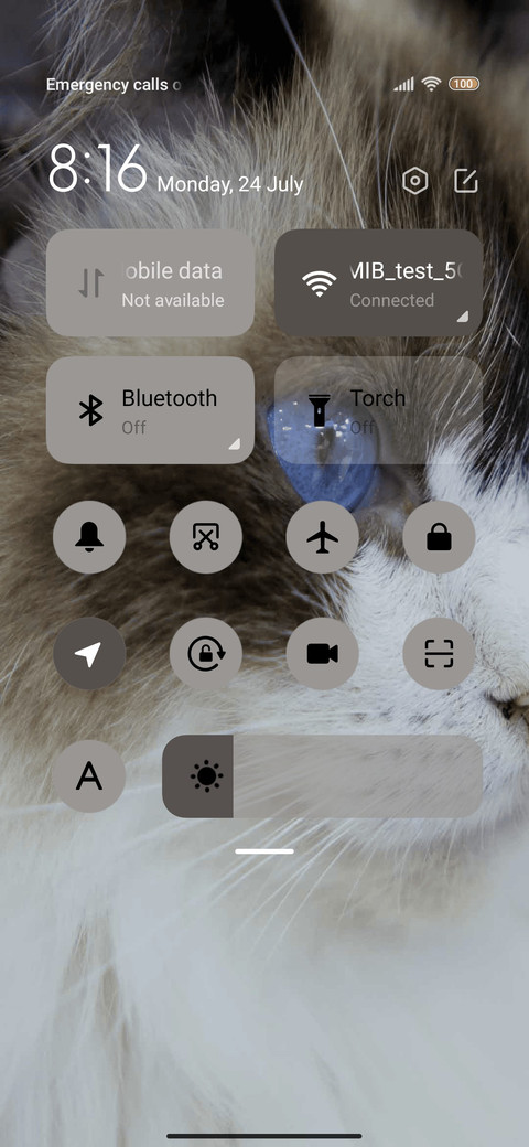 Fur cat screenshot