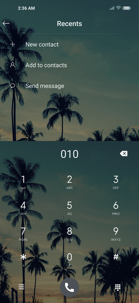 Beach coconut tree screenshot