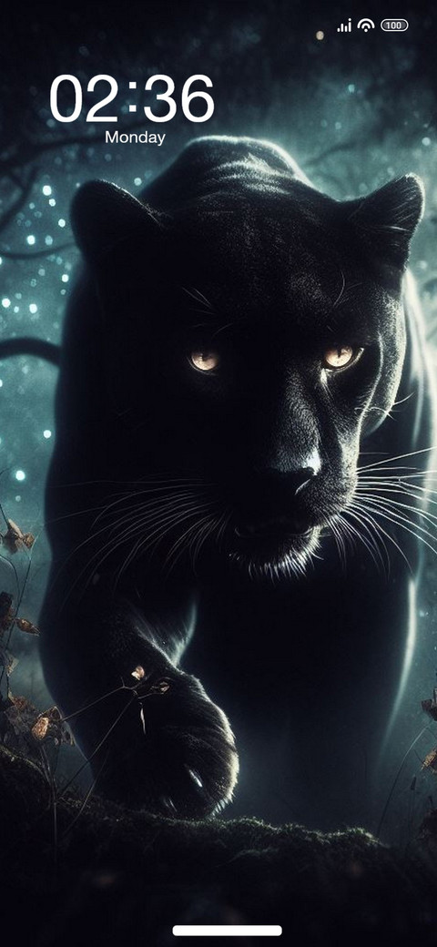 Black Panther screenshot