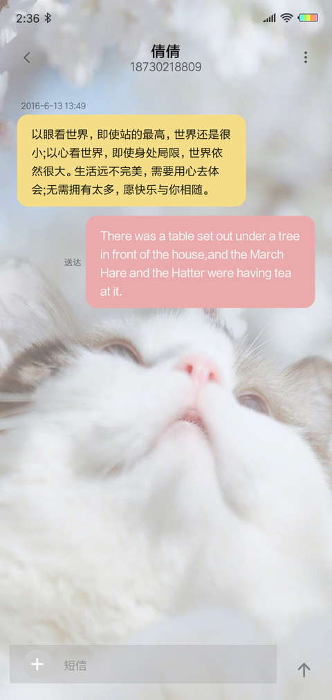 多壁纸可爱猫咪喵G screenshot