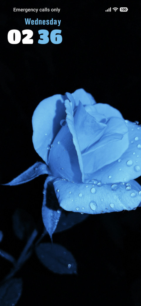 Blue Rose screenshot