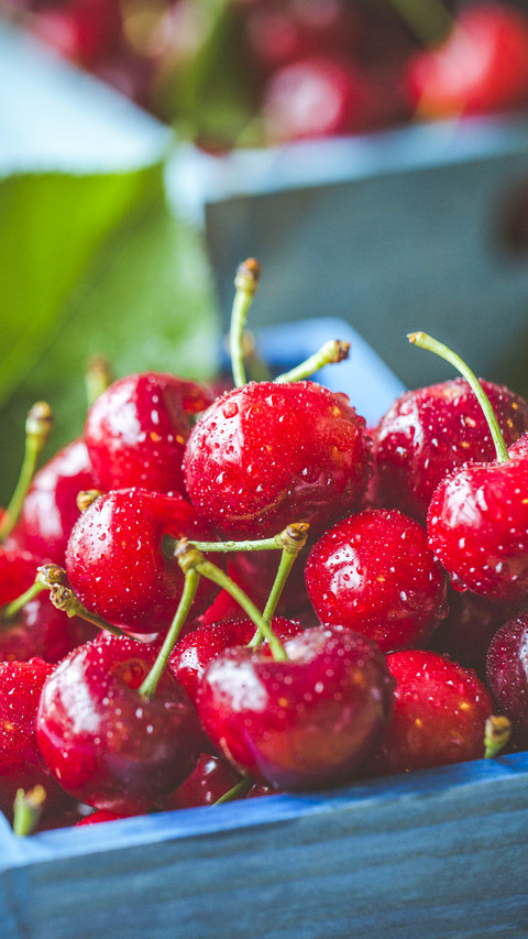 Fruit (9) screenshot