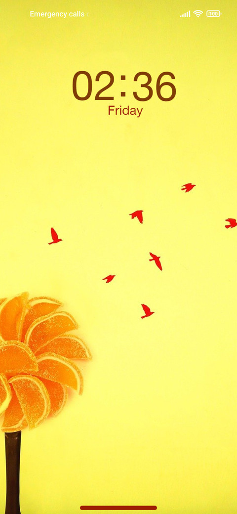 Orange Fun screenshot