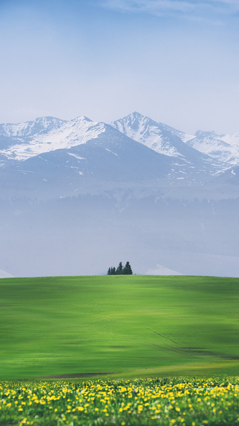 How to shoot minimalist photography 15 screenshot