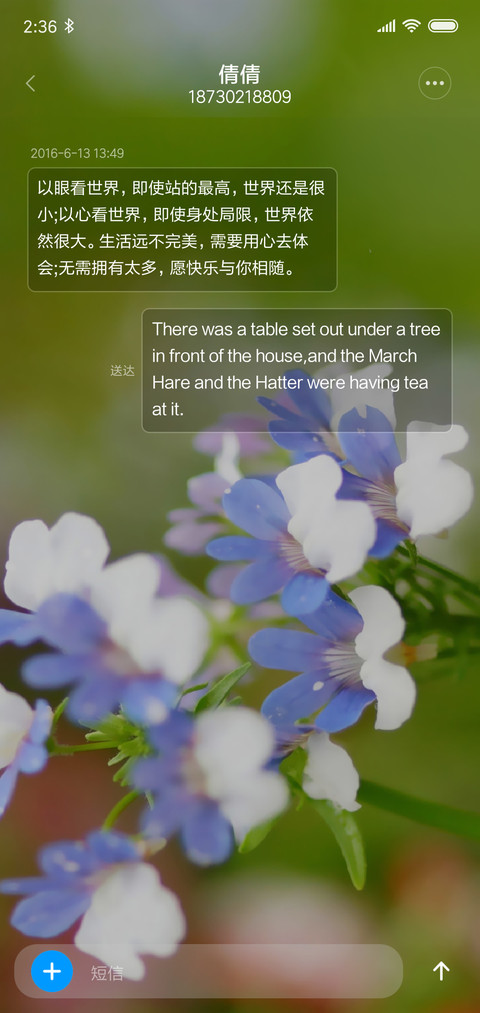 清新护眼一枝花 screenshot
