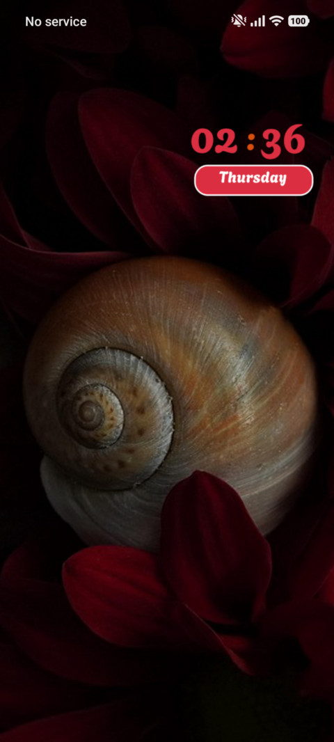 Snail screenshot