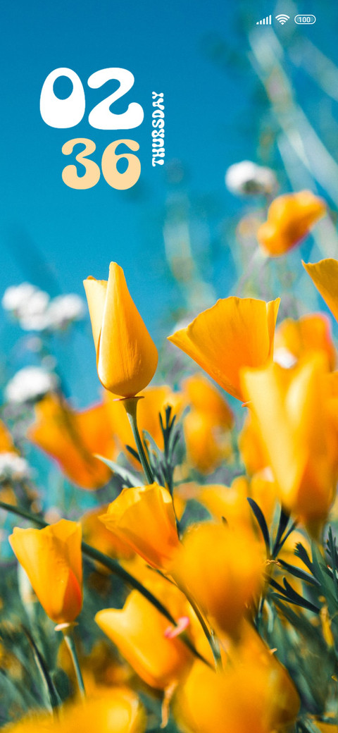Wow Flowers screenshot