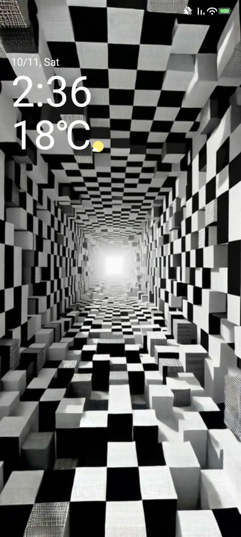 Black and white screenshot