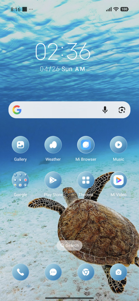 Green Turtle screenshot