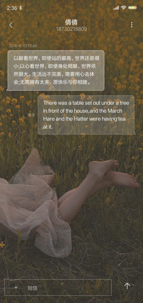 向着太阳迎着光 screenshot