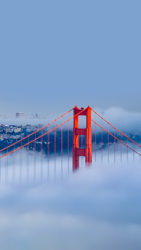 Golden Gate at Dawn Surrounded by Fog screenshot