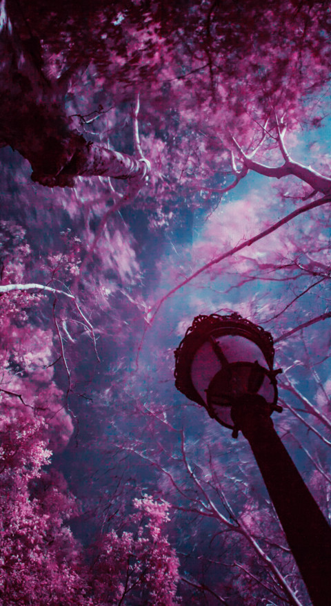 Mystery (23) screenshot