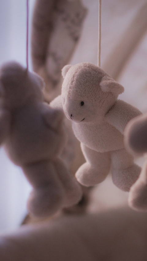 toy (10) screenshot