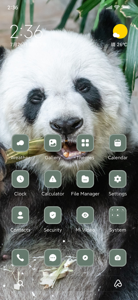 panda screenshot