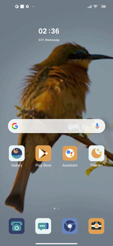 bee-eater screenshot