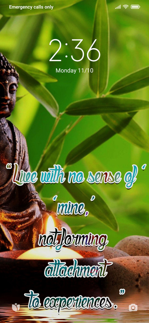 Buddhism Quote screenshot