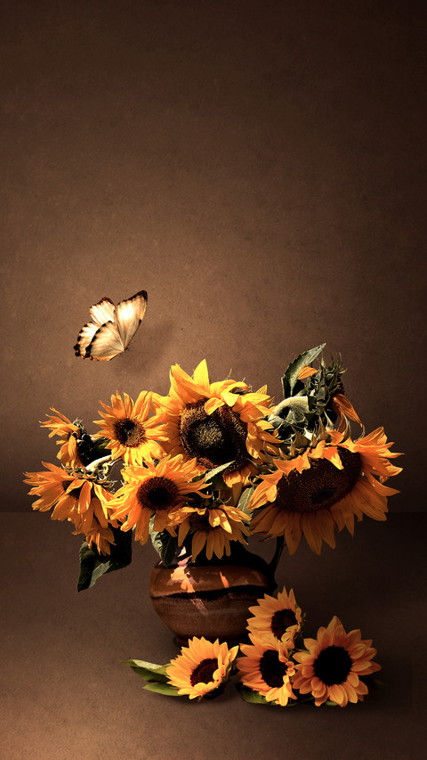 Sunflower-Desity screenshot
