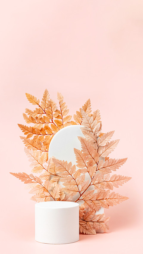 White Podium with Branch of Leaves screenshot