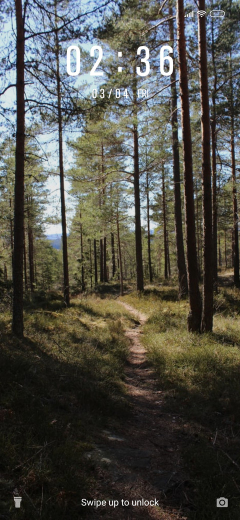 Forest Trails_3MDS screenshot