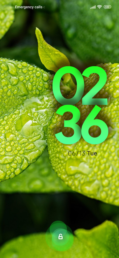 rain green screenshot