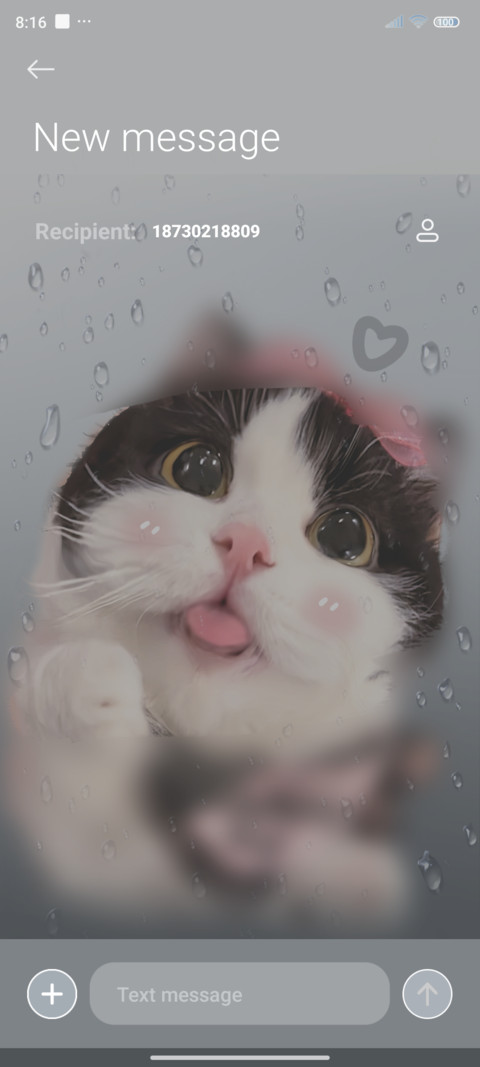 Rainy day Kitten screenshot