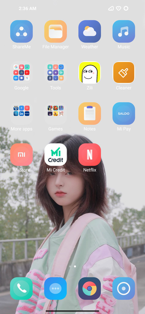 Special widget screenshot