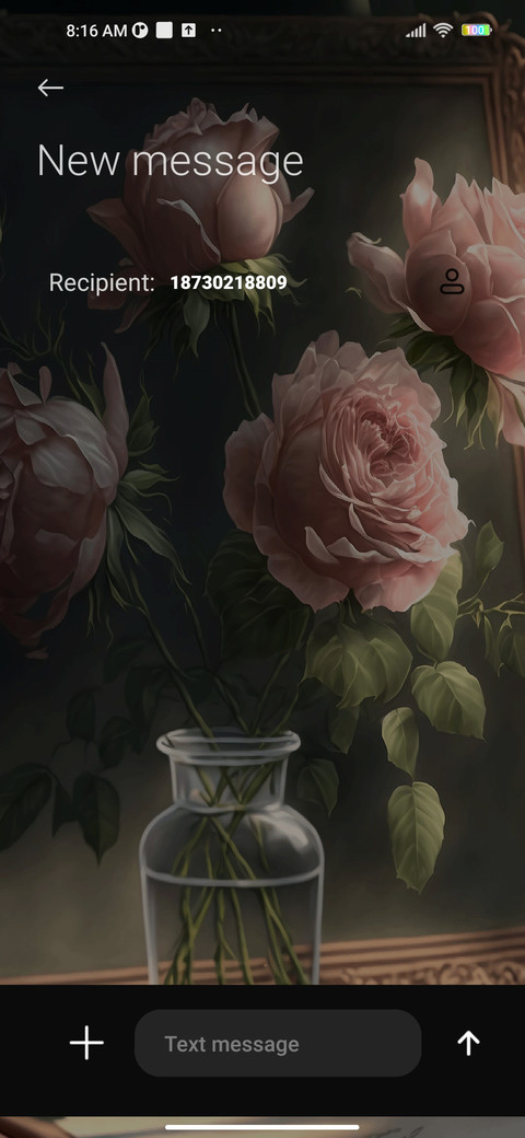  pink roses screenshot