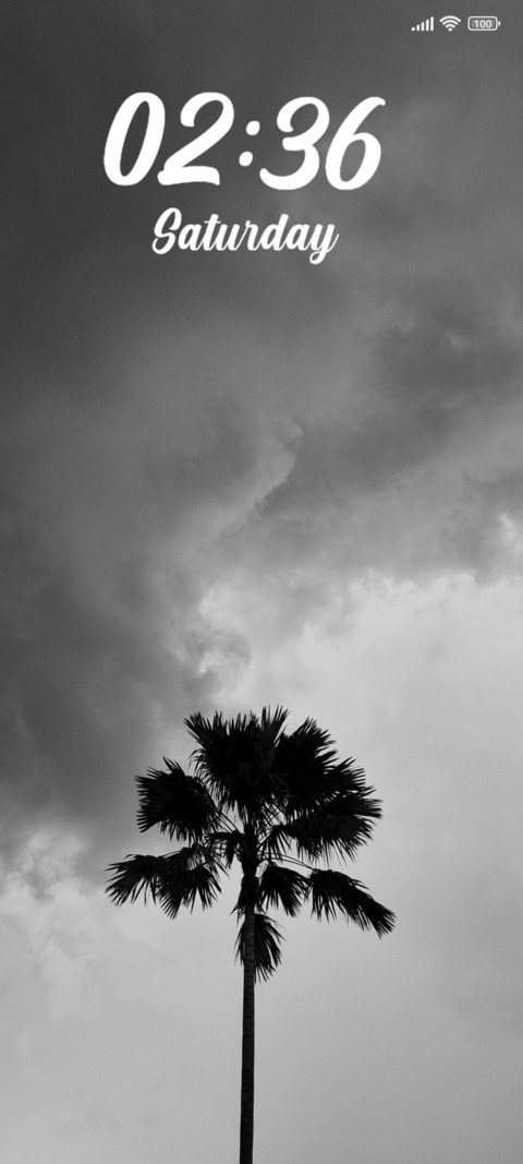 Palm Tree screenshot