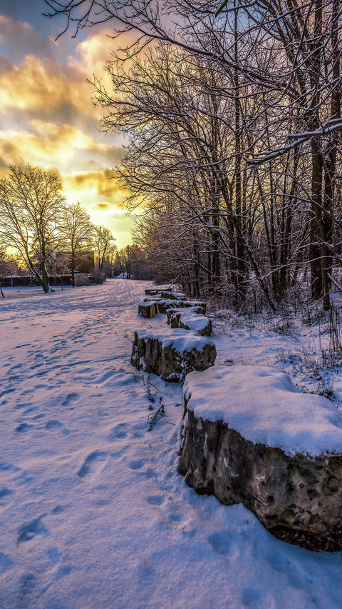 Winter roadside paths screenshot