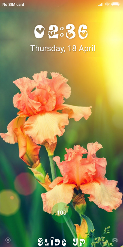 Spring_DWM19 screenshot