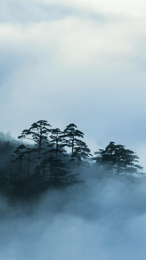 卧谷听松 screenshot