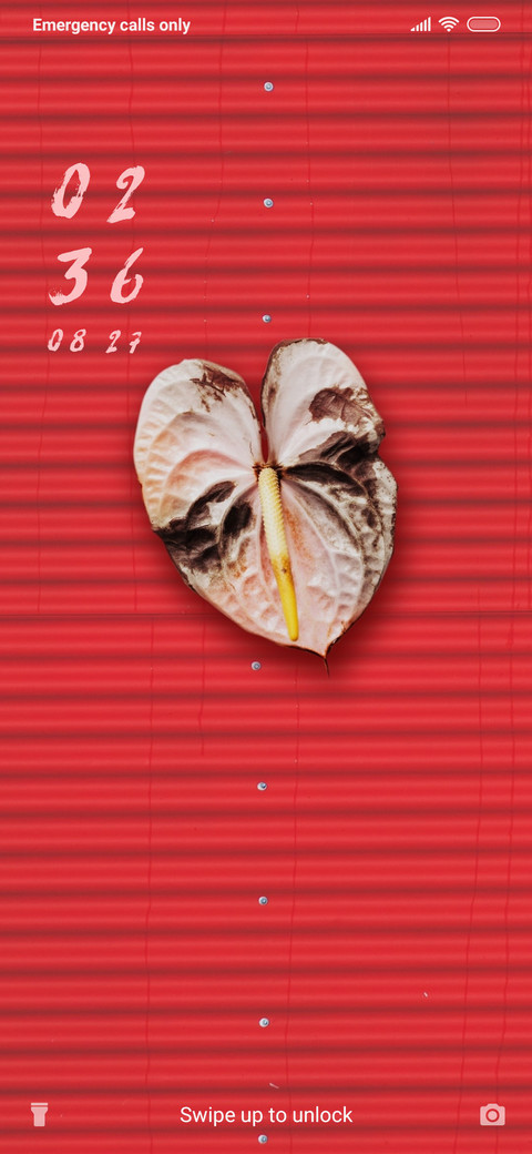 Anthurium_3MDS screenshot