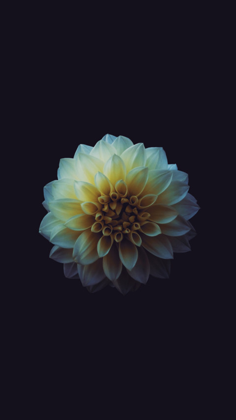 ULTRA HD (8) screenshot