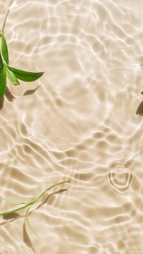 Summer green branches float on the water's surface screenshot