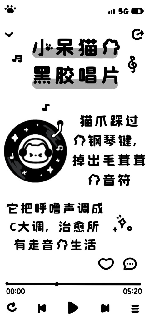 小呆猫的黑胶唱片 screenshot