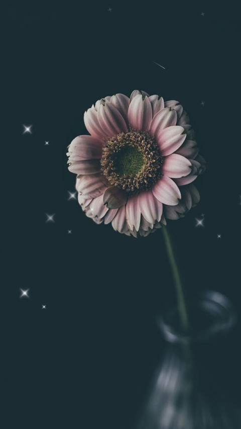 Elegant flower screenshot