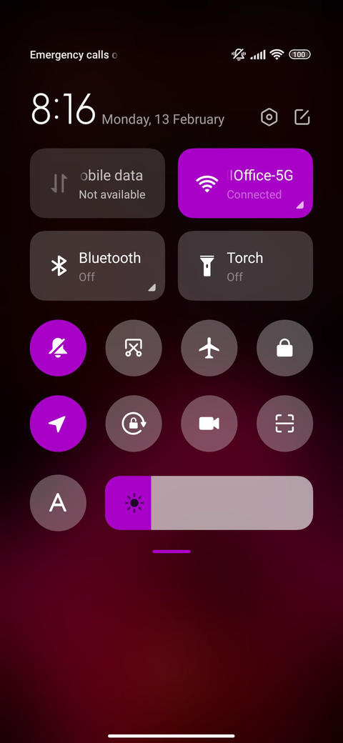 Holi bliss screenshot