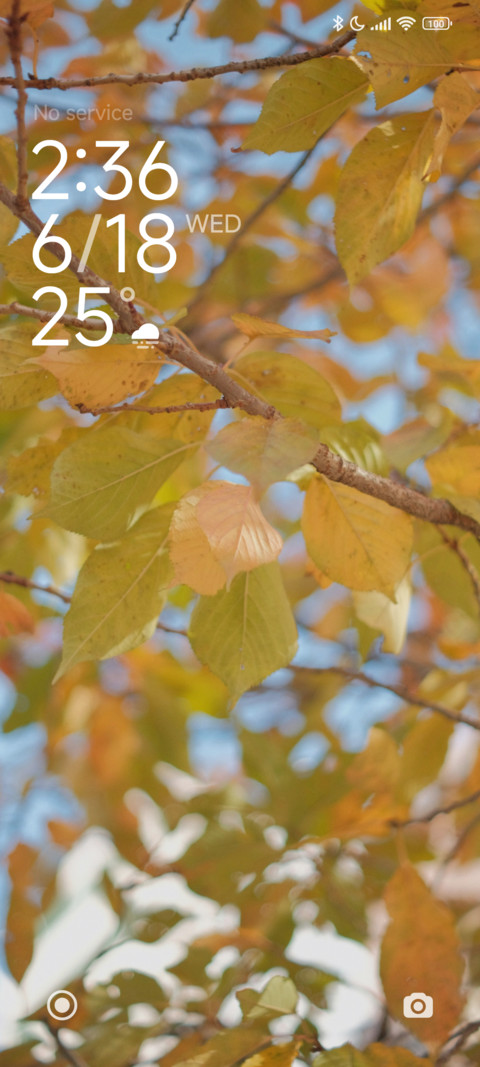 Golden Canopy screenshot